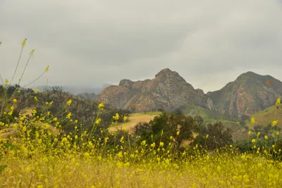 DSC_6519 (Large).JPG